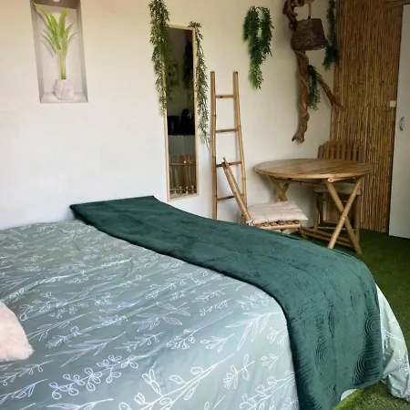 Nuit Insolite Conteneur Tropical * 布永