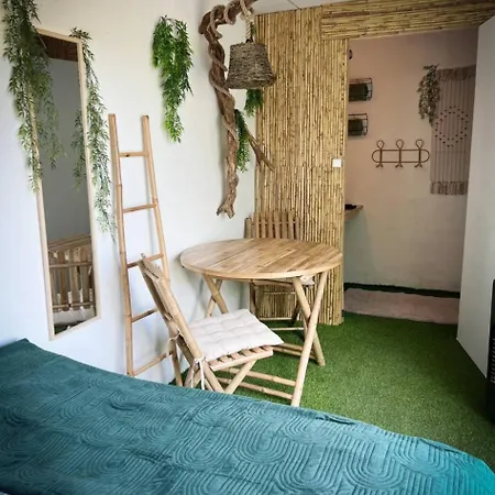 Nuit Insolite Conteneur Tropical