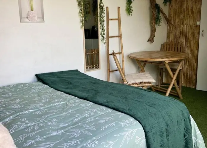 Nuit Insolite Conteneur Tropical * Bouillon