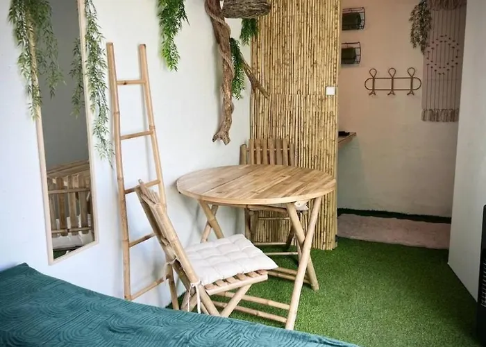 Nuit Insolite Conteneur Tropical