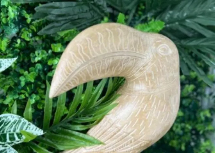 Nuit Insolite Conteneur Tropical *