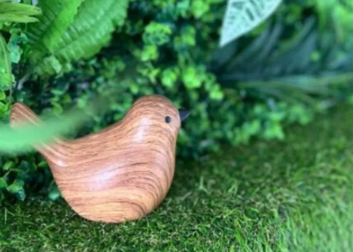 Nuit Insolite Conteneur Tropical Tente de luxe